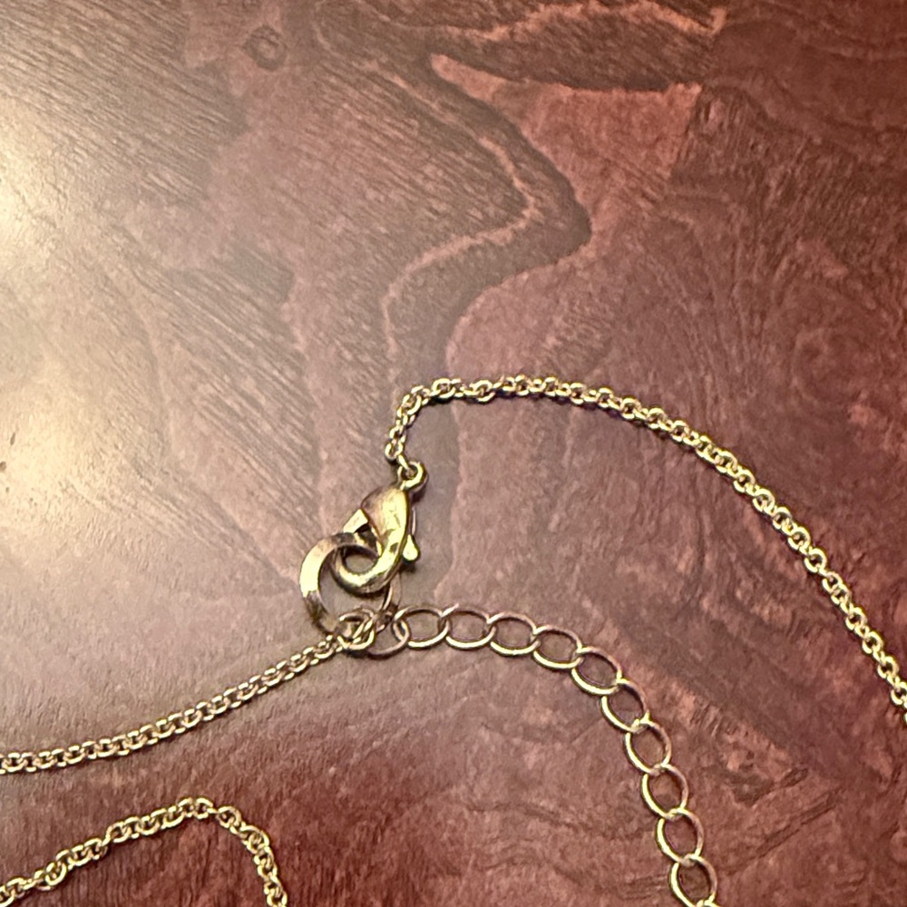 Ann Taylor Gold Lariat Necklace - Picture 5 of 5